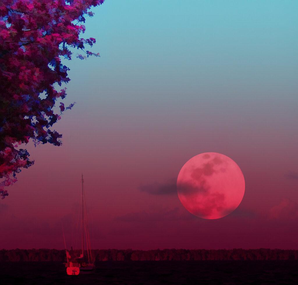 pink moon