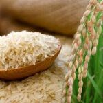 Rice-mills-to-be-kept-open