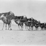 f166f761717765f832ca98e979e3a454bb6b61f8-240122095422