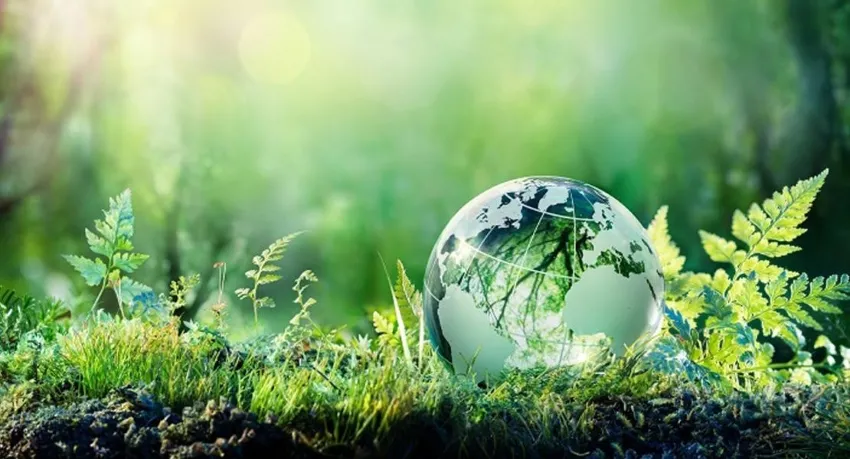 World Environment Day