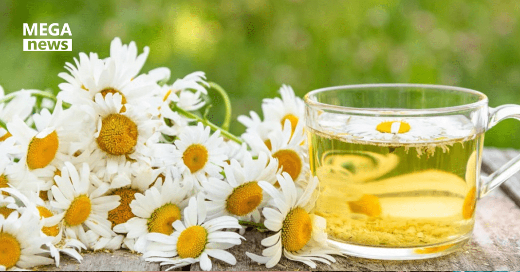 best-herbal-teas-for-anxiety-and-sleep