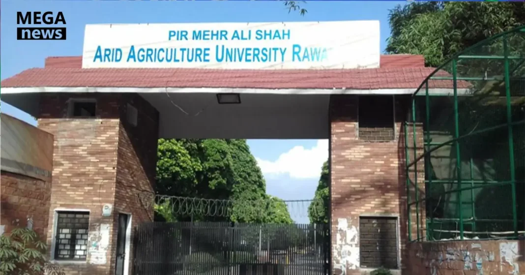 Arid University student Kinza murdered by cousin