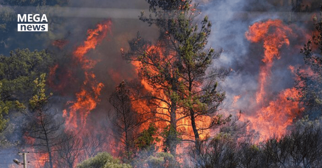 Pakistan Aid to turkey Wildfires