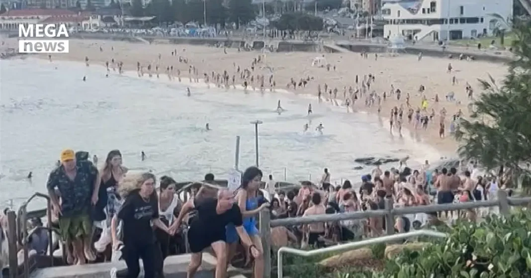 Father and Son Behind Bondi Beach Shooting That Killed 15, Australian Police Confirm