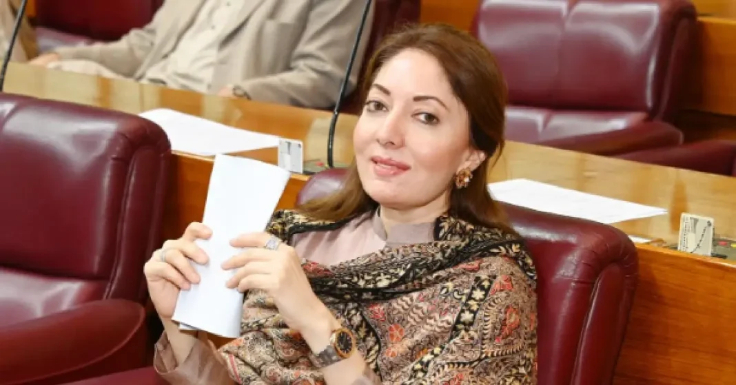 No Punishment for Staring at Wife in Domestic Violence Bill: Sharmila Faruqui