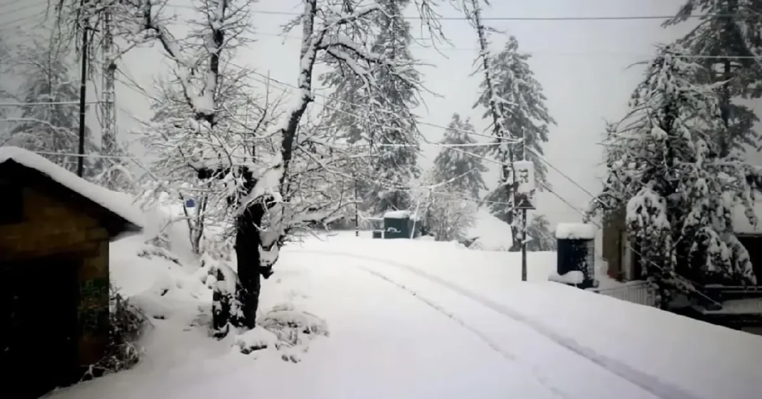 Murree Entry Routes Reopened for Tourists After Snowfall Safety Measures