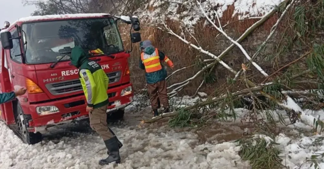 Snowfall Blocks Silk Route in Battagram; Vehicles Stranded