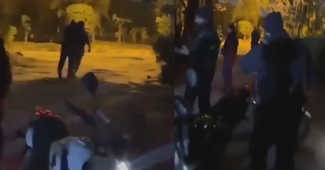 Islamabad Dolphin Squad Officials Suspended After Alleged Assault on Couple