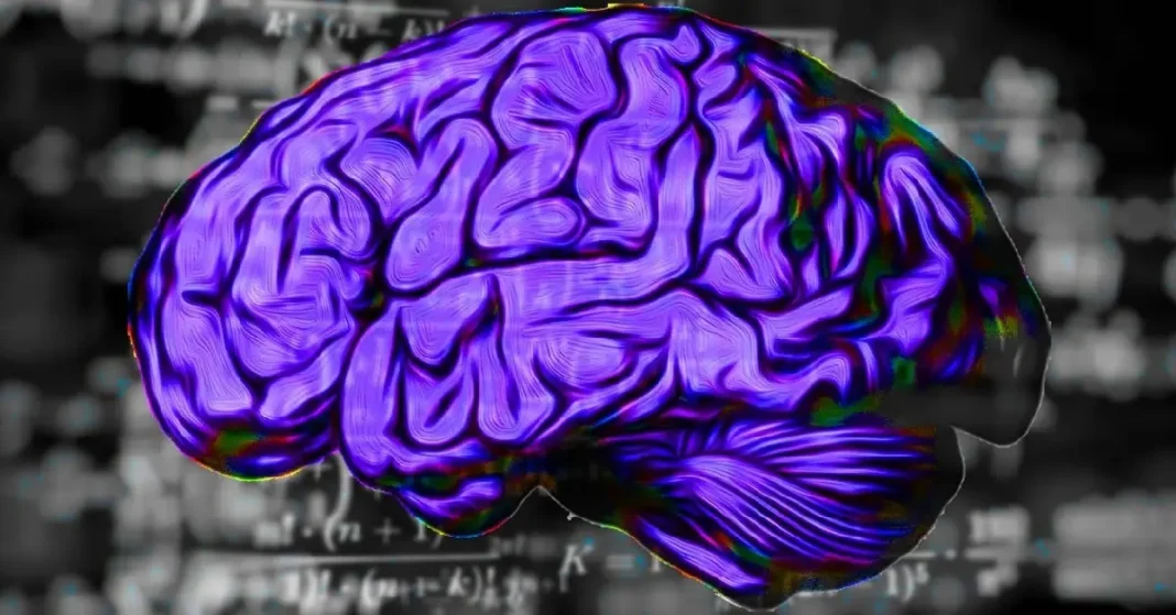 Mild Electric Brain Stimulation May Reduce Selfish Behavior, Study Finds